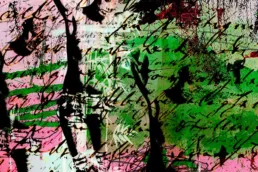 birds01