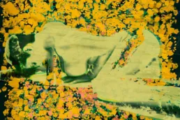 yellowyou
