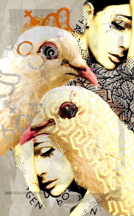 doves and dolls